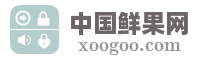 中国鲜果网